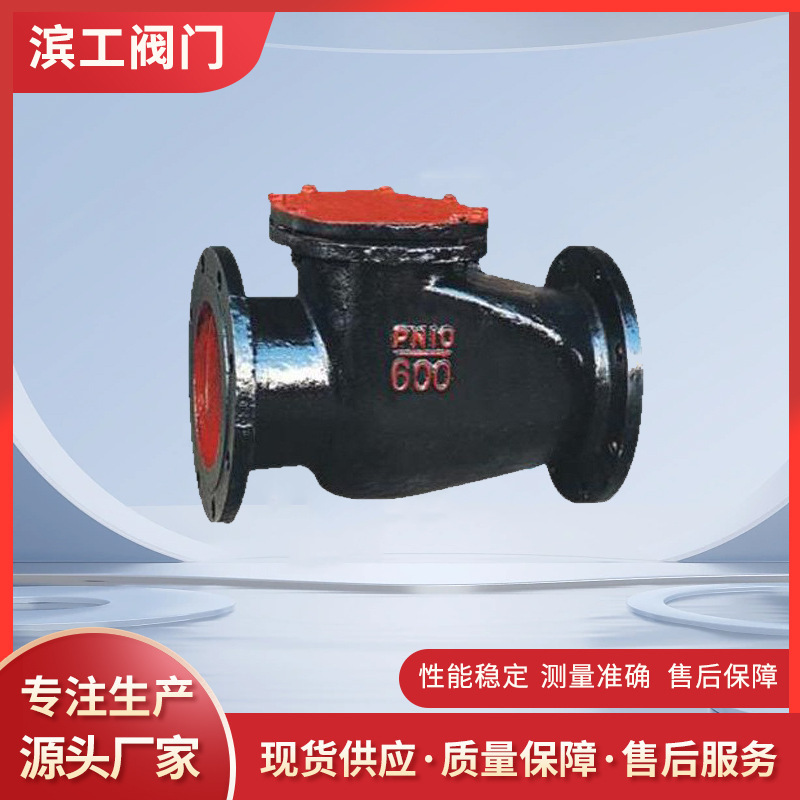 供应铸铁旋启式止回阀H44T  上海铸铁法兰止回阀 镶铜铸铁止回阀