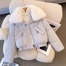 2026�����¿���q�޷�Ů�̿�С�����OӋ����������\�Ӻ���������