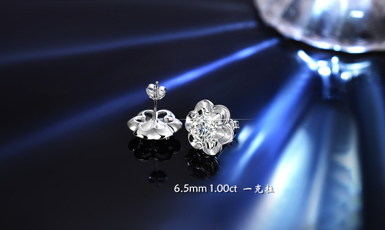 DSC_1324 拷贝_副本_副本