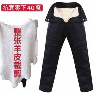 Fur One Leather Pants Men's Wool Warm Pants Women's High Waist Large Size Loose Middle-aged and Old People Sheepskin Cotton Pants