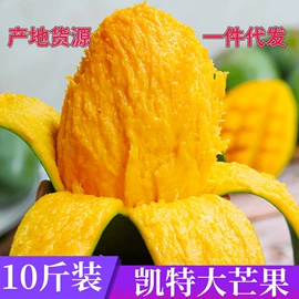 枇杷;柑桔;石榴