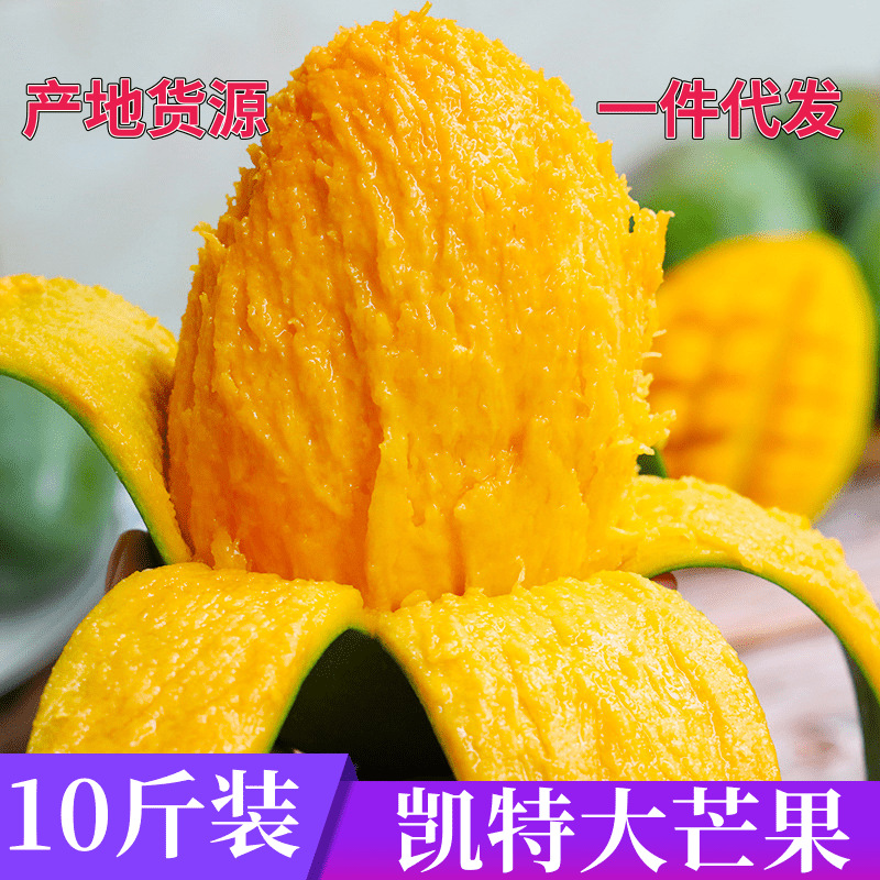 攀枝花凯特芒果新鲜大果热带水果青皮甜心大现摘现发鲜摘四川直供