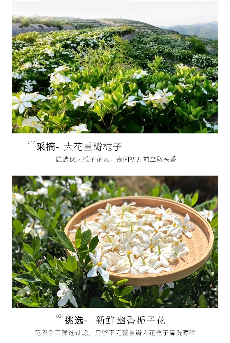 Xiaocheng Yixiang Lady's Gardenia Perfume, with your long-lasting gardenia fragrance, is a bestseller on Douyin. Wholesale of student perfumes undefined
