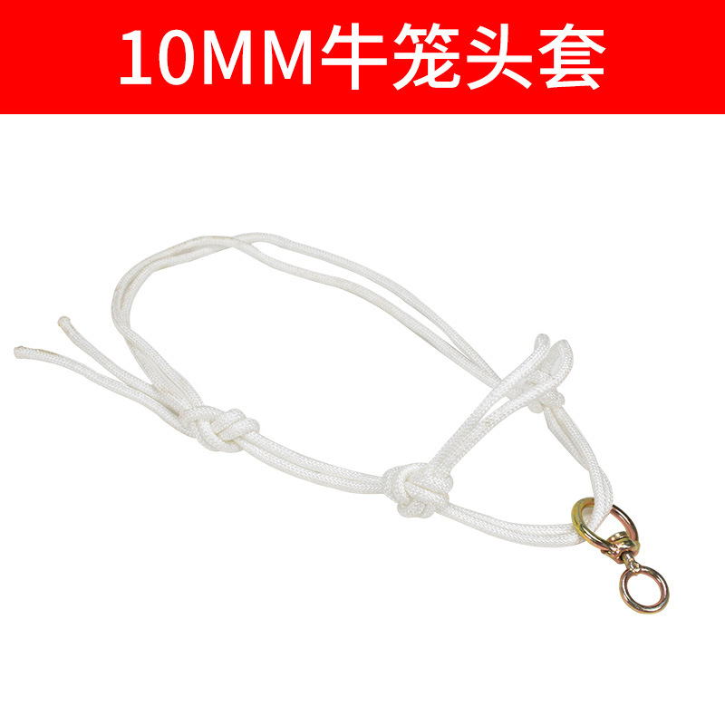 Cabeza de jaula de buey, cuello de buey, cuello de buey