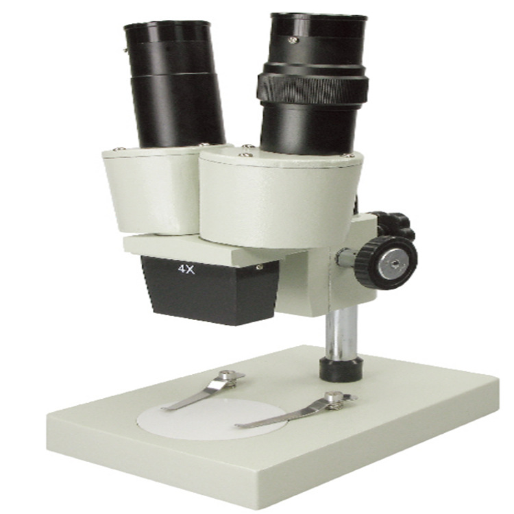双目立体显微镜 立体显微镜 40X 生物教学显微镜