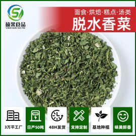 脱水香菜蔬菜干调料方便食品调味包配料香菜片工厂源头厂家批发