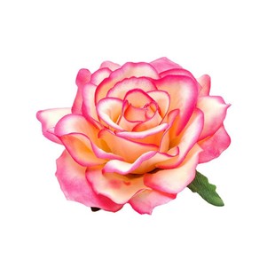 11CMë���λ�����õ�廨��DIY�ֹ��^��ػ��Ʒ����^���l�