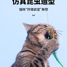 ��؈��؈��������x��ҧ���˽␞䓽z��Q�^��؈��Ʒ