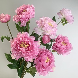 ĵ҃ȼٻbҾӿ͏dҕ[Żcˇ滨