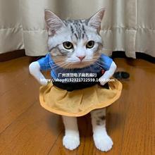 春秋宠物猫咪服饰可爱搞笑搞怪服装滑稽猫狗衣服站立变身装立体