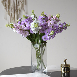 ���l���滨�Ҿ��b�52cm���_�m�ٻ���֦�L�����w������»�ˇ����