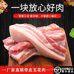 ��Ƥ�廨�����r�F�������i���廨�������������öY���i�Ű��b����