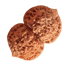 ��������_�l����y���ñ�����Ǫ{���^ԭɫ���䌦�ߒ��ְѼ��Һ�