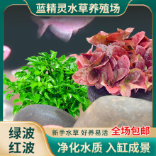 �{���`�~��ˮ�ݻ��w��Բ���ǰ���G���t��ˮ��ˮ�����b��^�pֲ��