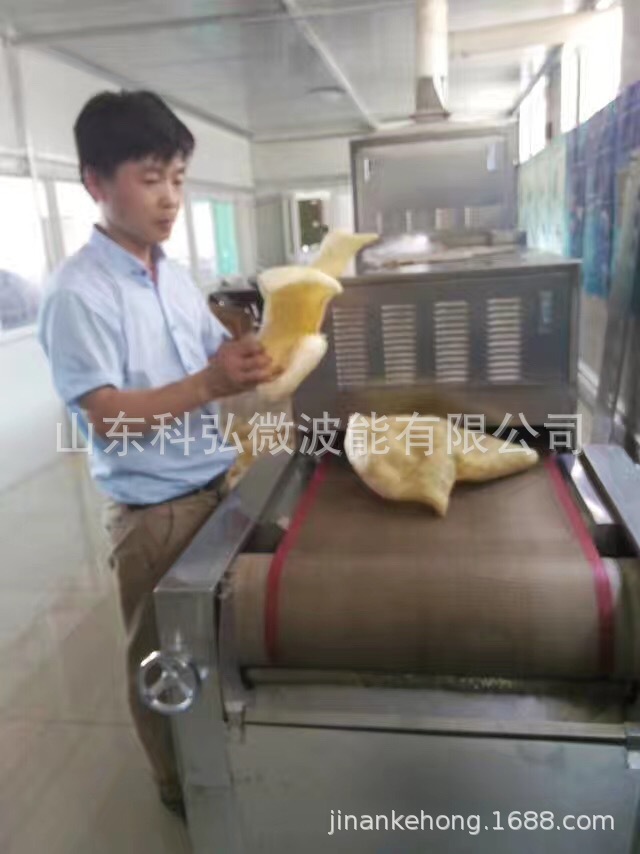 郑州微波猪皮膨化设备