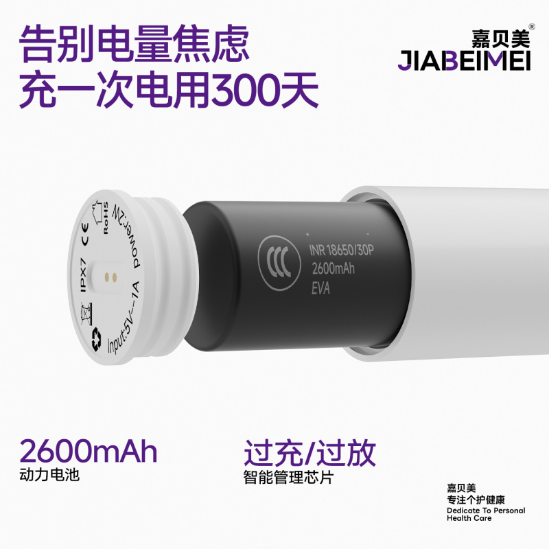 スマート電動歯ブラシ歯クリーナー 2-in-1 クロスボーダー成人学生全自動掃除振動柔らかい毛ソニックギフト|undefined
