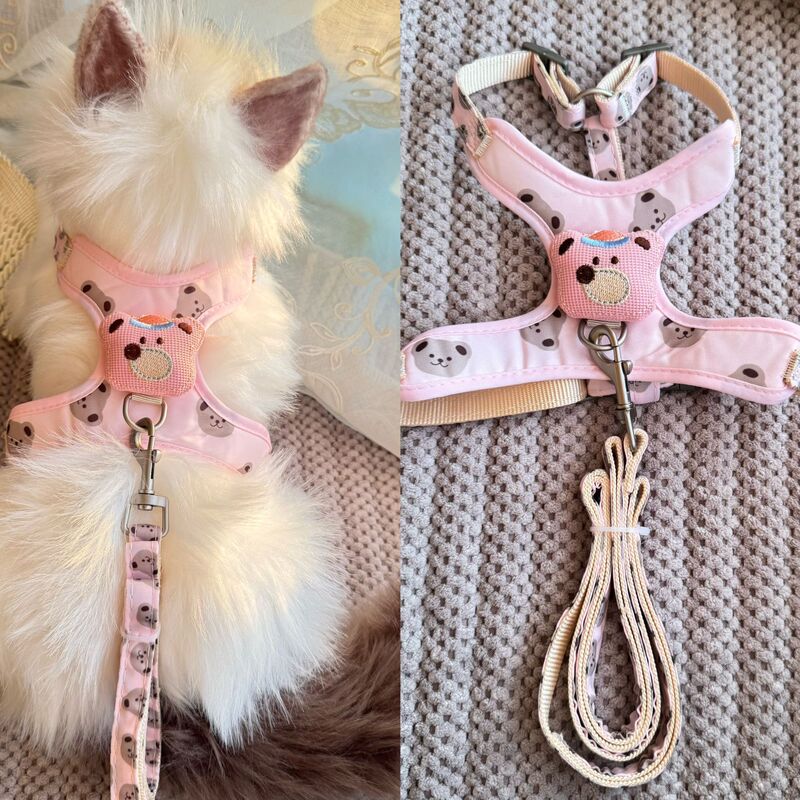 猫咪牵引绳背心挣脱外出遛猫绳子小型专用链子调节宠物背带狗狗|undefined