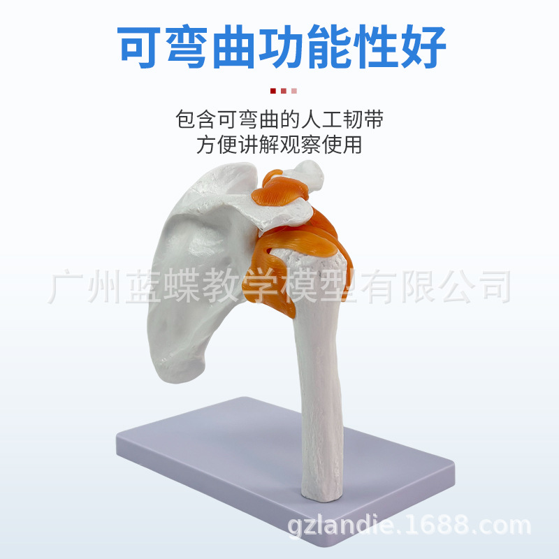 ��ѧ���������ؽ�ģ�ͼ��ι������ܸ��ʹ���������ṹ�ǿƽ̾�