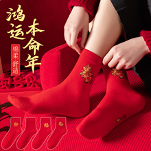 马年本命年红袜子男女2026新款属马喜庆情侣新年小马高筒红色袜子