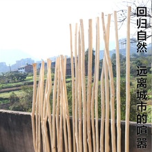 ԭľȥƤ�ɘ�֦���Uɭϵ���b��؛�ܙ����b�ľ����̺��᣿ݘ�֦