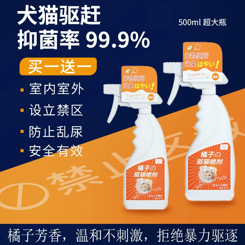 Отгоните кошачий артефакт, чтобы кошки не мочились в постели