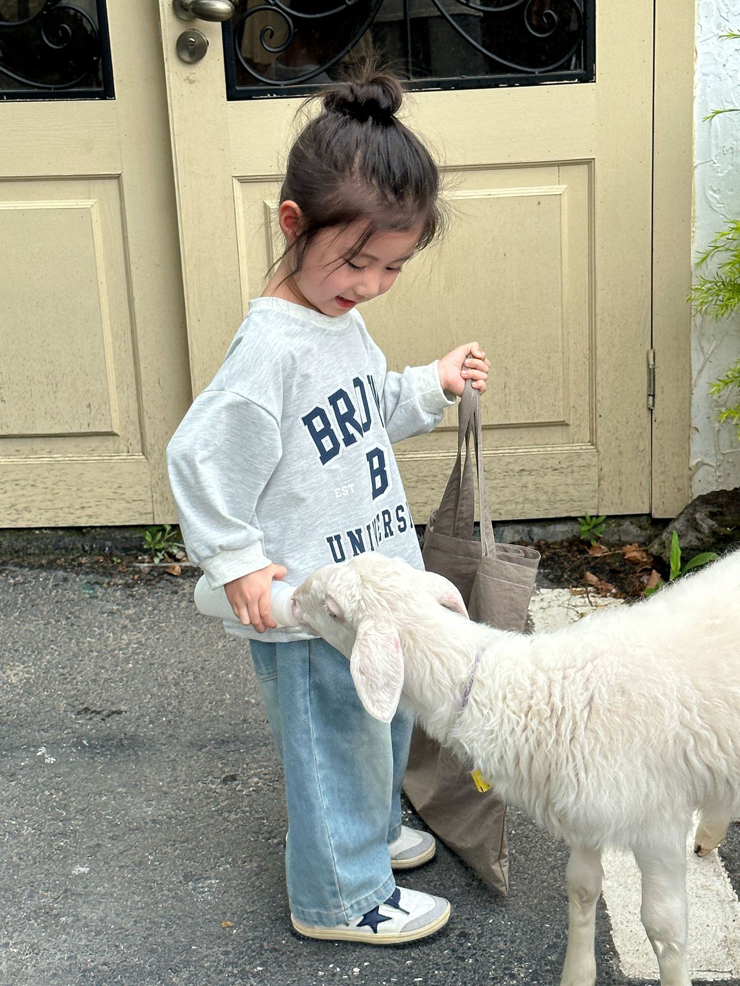 2024-06-06 113337.jpg