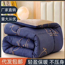 冬被加厚保暖被芯棉被宿舍学生单人春秋被四季通用冬被褥非大豆被