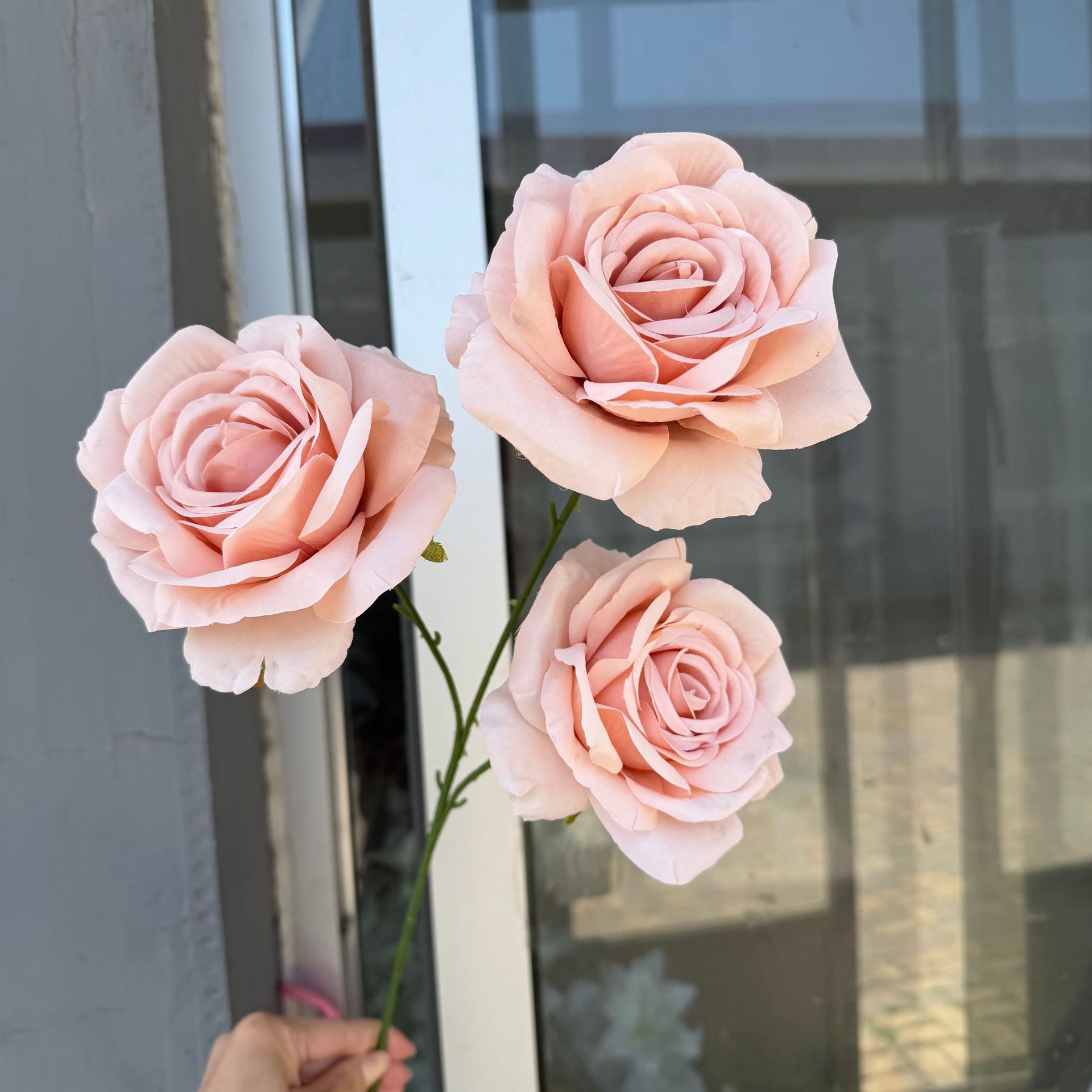 가을달장미 3개 연한 된장