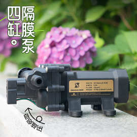 SINLEADER信利达智能压力开关四缸大流量泵12V喷雾器高压隔膜水泵