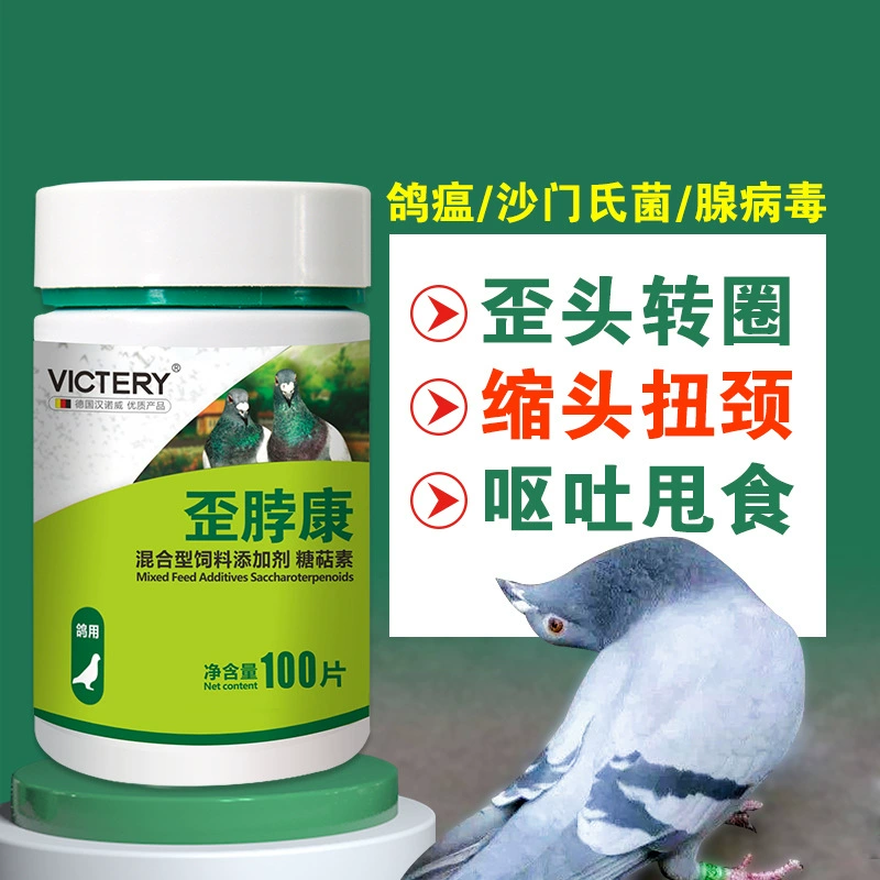 Голубь медицина кривая шея Кан 100 таблеток/бутылка гоночный голубь поставки голубь чума сальмонелла кривая шея не голубь медицина