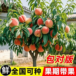 �Ҙ���ˮ���������ڷ�o�a�ɽˮ��������Ҙ�޽ӵ��Ԯ���Y��