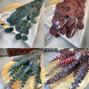�������ȼ����~diy�������Д[�c�Ӽ��ֹ������ɻ�������ϰl