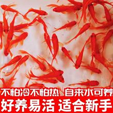 С���~�^�p�~С���~���B�ͻ���ˮ��ˮ���������J�ב����~