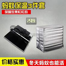 蚂蚁保温箱蚂蚁加温垫蚁巢保暖蚂蚁加温器弓背蚁收获蚁蚁巢其他