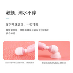 Laile sweetheart AV massage stick USB charging variable frequency vibrator female masturbation device adult sex toys cross-border