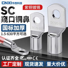 CNXI华西科技SC铜鼻子紫铜加厚国标冷压接线端子窥口铜鼻线耳厂家