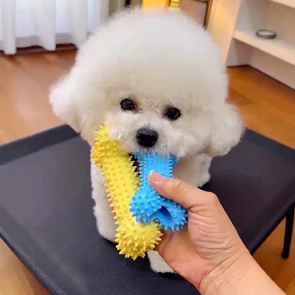 Dog Toys Silicone Tpr Bone Teeth Cleaning and Chewing Resistant Rubber Toys for Small and Medium-Sized Dogs Pet Supplies