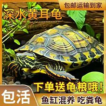 ��ˮ�S��������������ˮ�����L�������B�����^�pС������ؔС����