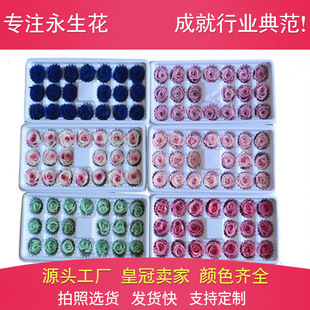 �S�����l2-3cmB��õ�廨���r�������}�Q��Ϧ�Y�����նY��DIY