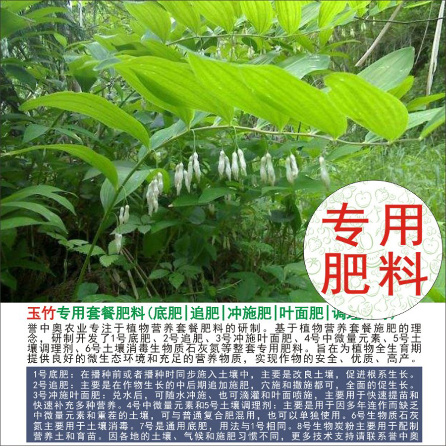 50�����а�����ר���л��ʸ��Ϸʵ׷�׷��Ҷ��ʳ�ʩ��ˮ�ܷ�