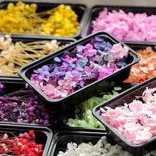 ���l�ɻ��� ��޹Ϟ�TϞƬ�����Ƚ������˲���ᘝM����DIY�ɻ�����