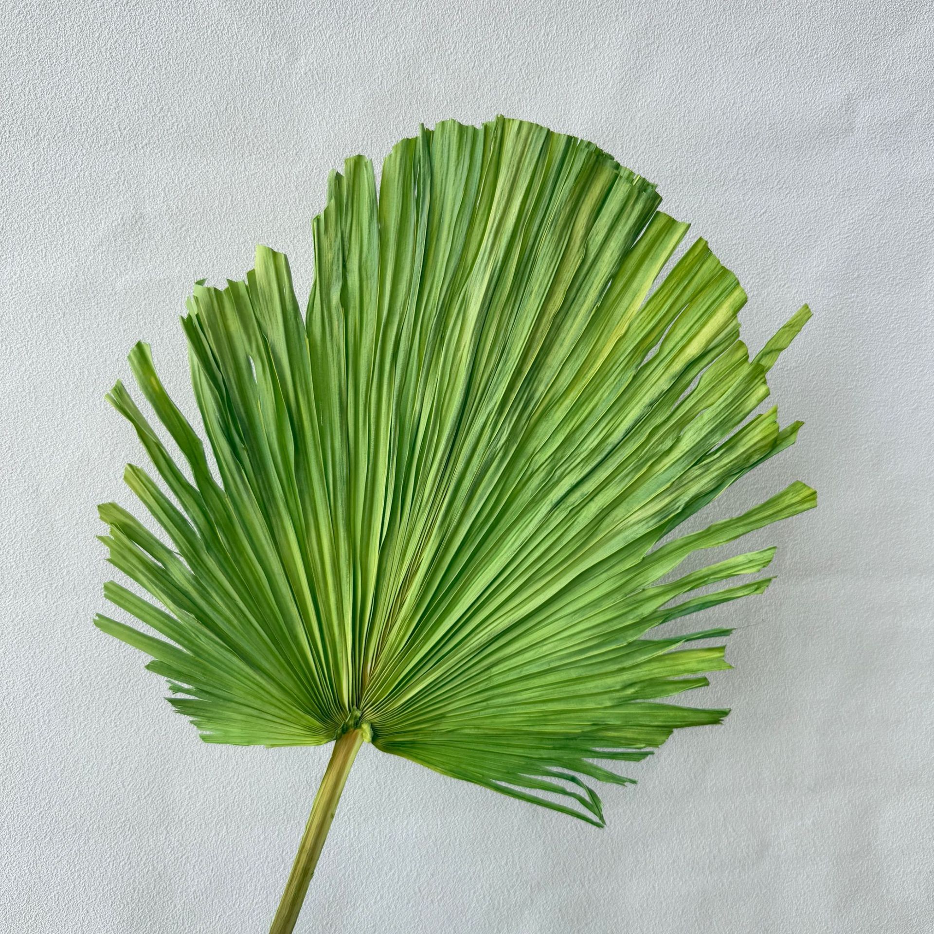 중간 트림 그린