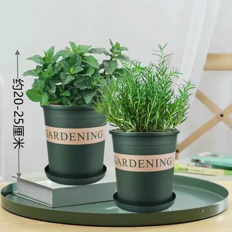 [핫셀 조합] 민트 + 로즈마리(갤런 포트*2) + 영양액