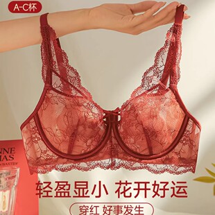 ������tɫ�������bŮ�����@С�ո�����´�2026�R��Y����������