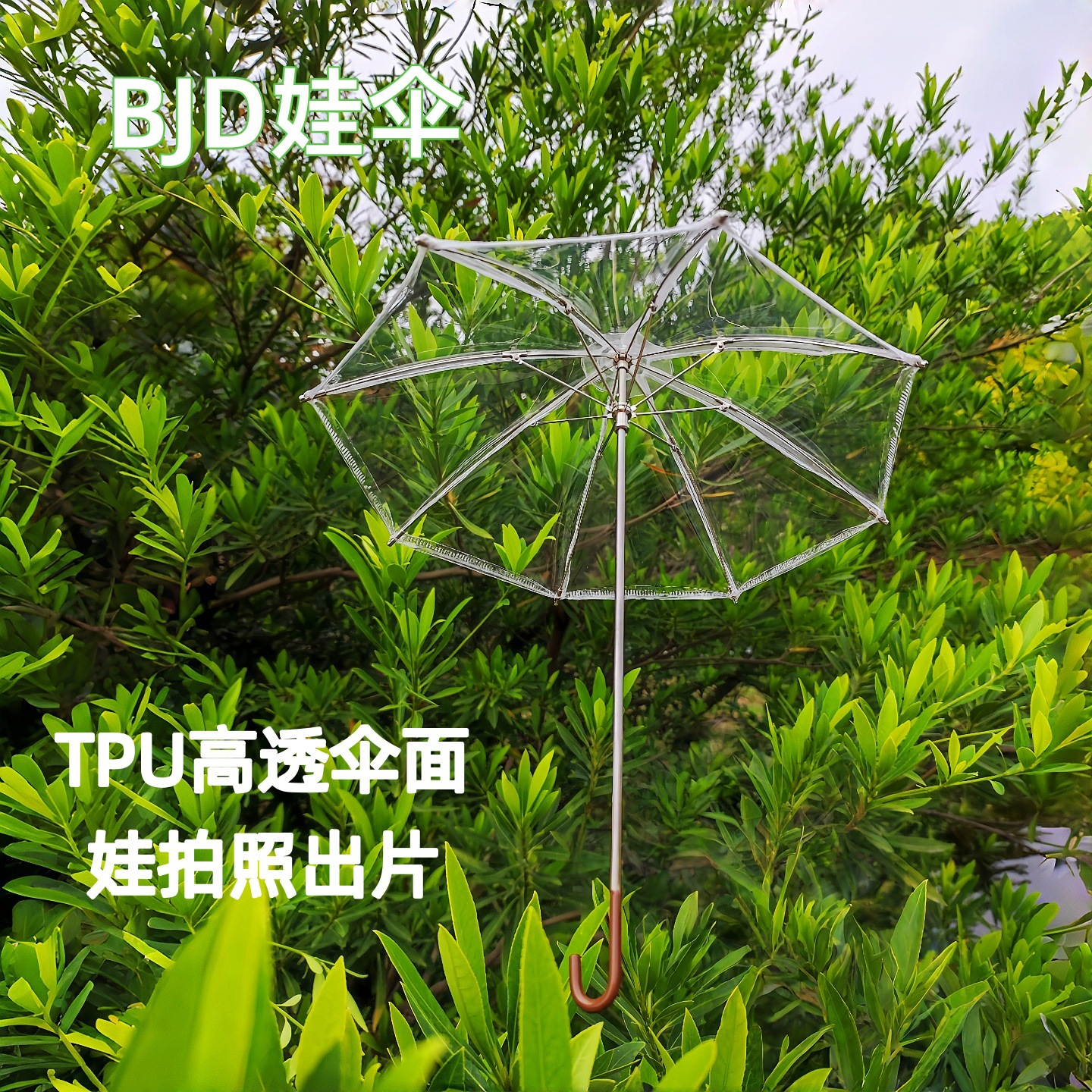 bjdɡ6��͸������Сɡ΢������bjd��ɡ���������ÿɿ������ɡ