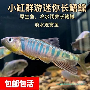 �����L���vС�ߴ��߲ʰlɫԭ���^�p�~Ϫ����ˮϪ��V�ص�ˮ�һ��~