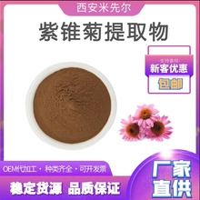 紫锥菊提取物10:1 紫锥菊多酚 菊苣酸 紫锥菊粉厂家直销