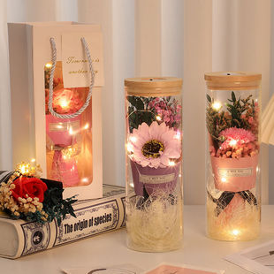Teacher's Day Gift 2024 New Carnation Practical Gift for Teachers Glass Cover Immortalized Dried Flower Bouquet