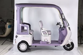 其他电动车;电动三轮车;三轮车