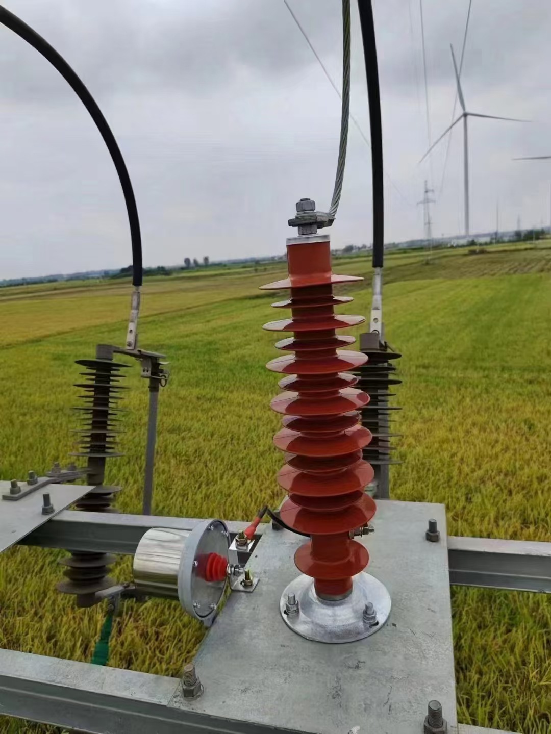 微信图片_20240527141640